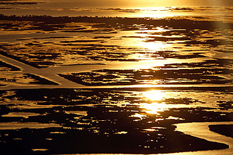 Manchas de óleo no Atlântico, ao pôr-do-sol (Foto: AFP)
